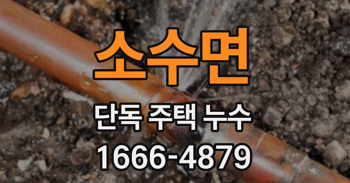 소수면 단독 주택 누수