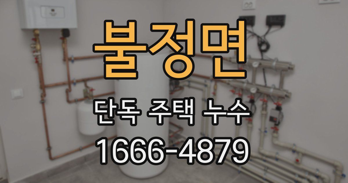 불정면 단독 주택 누수
