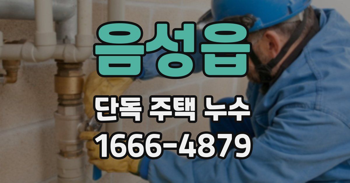 음성읍 단독 주택 누수