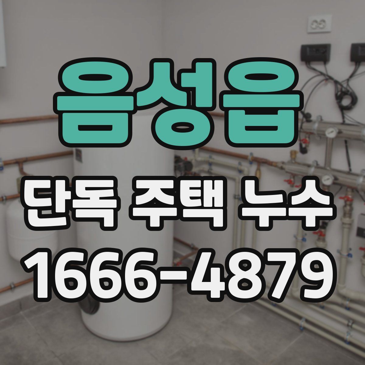 음성읍 단독 주택 누수