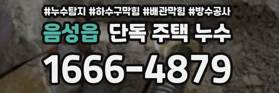 음성읍 단독 주택 누수