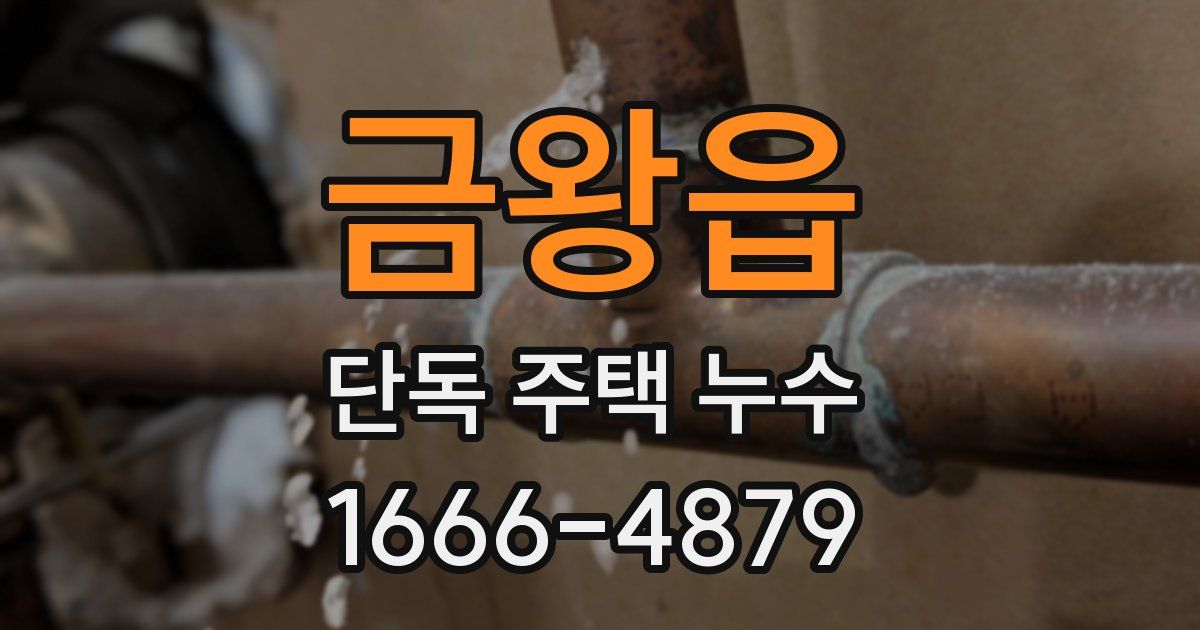 금왕읍 단독 주택 누수