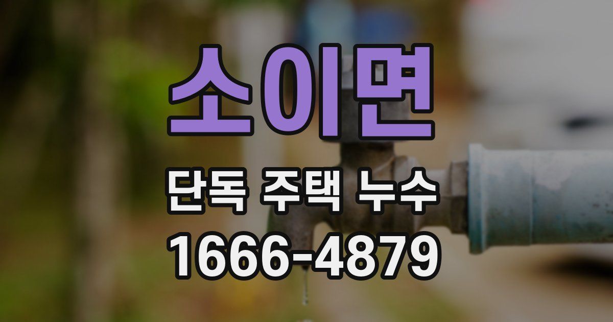 소이면 단독 주택 누수