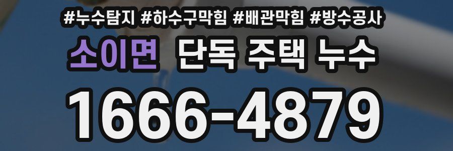 소이면 단독 주택 누수