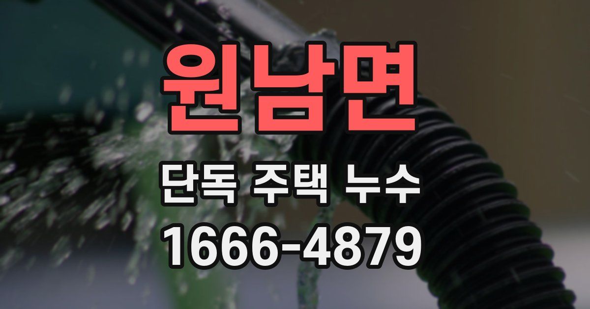 원남면 단독 주택 누수