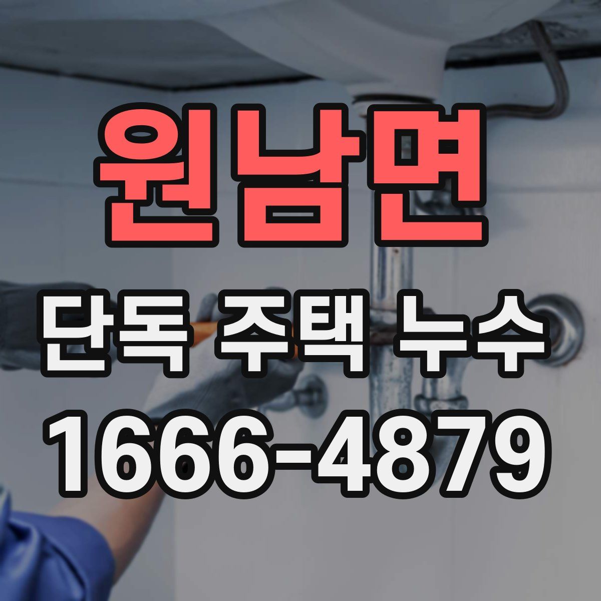 원남면 단독 주택 누수