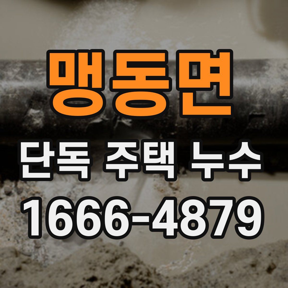 맹동면 단독 주택 누수