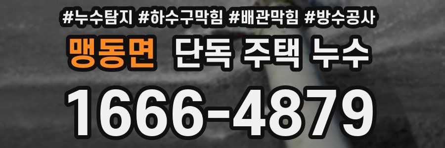 맹동면 단독 주택 누수