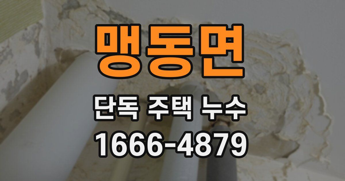 맹동면 단독 주택 누수
