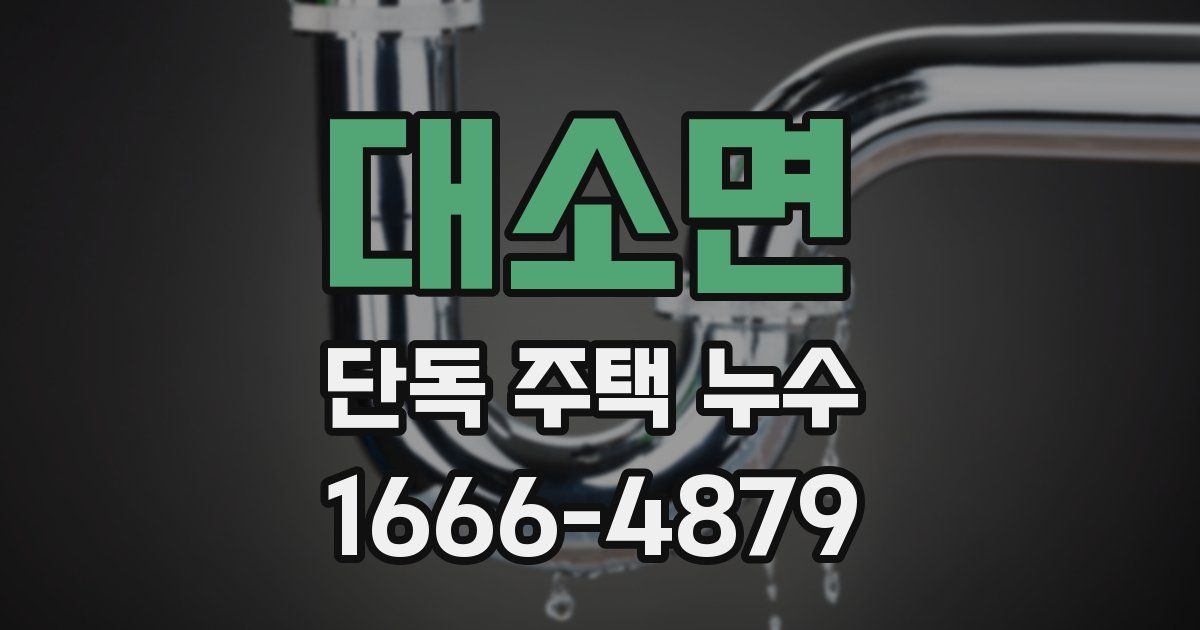 대소면 단독 주택 누수
