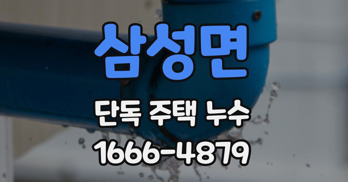 삼성면 단독 주택 누수