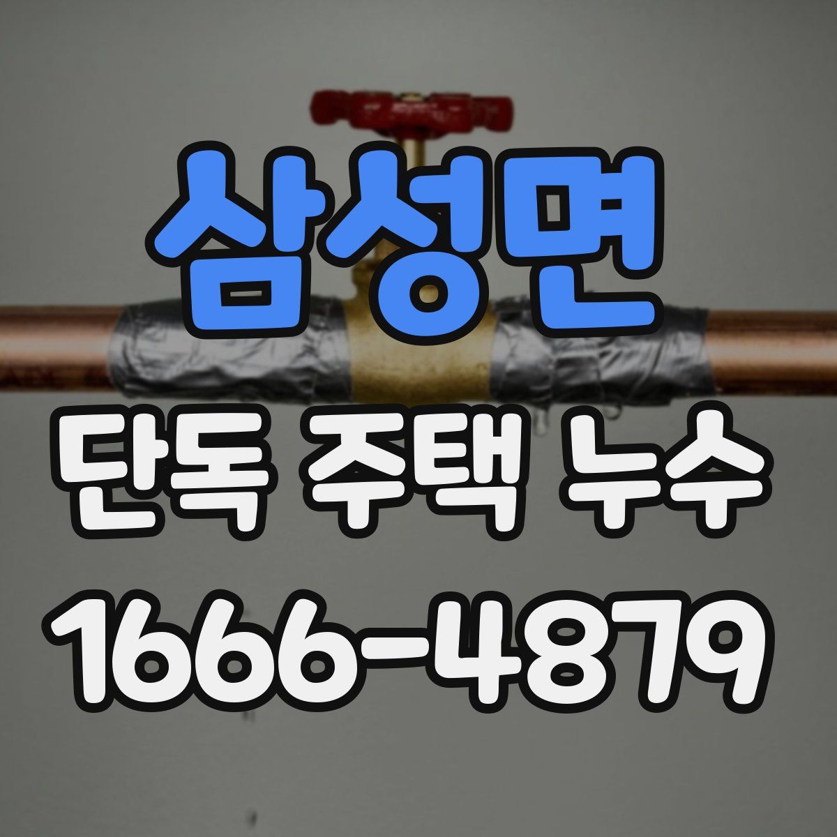 삼성면 단독 주택 누수