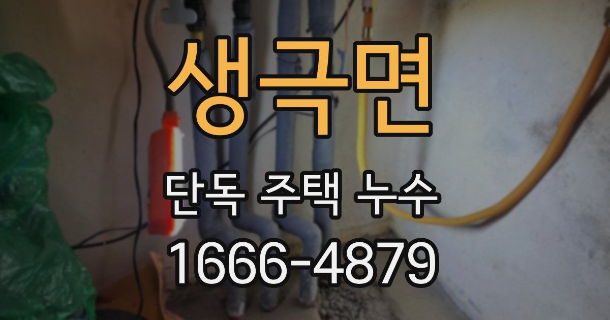 생극면 단독 주택 누수