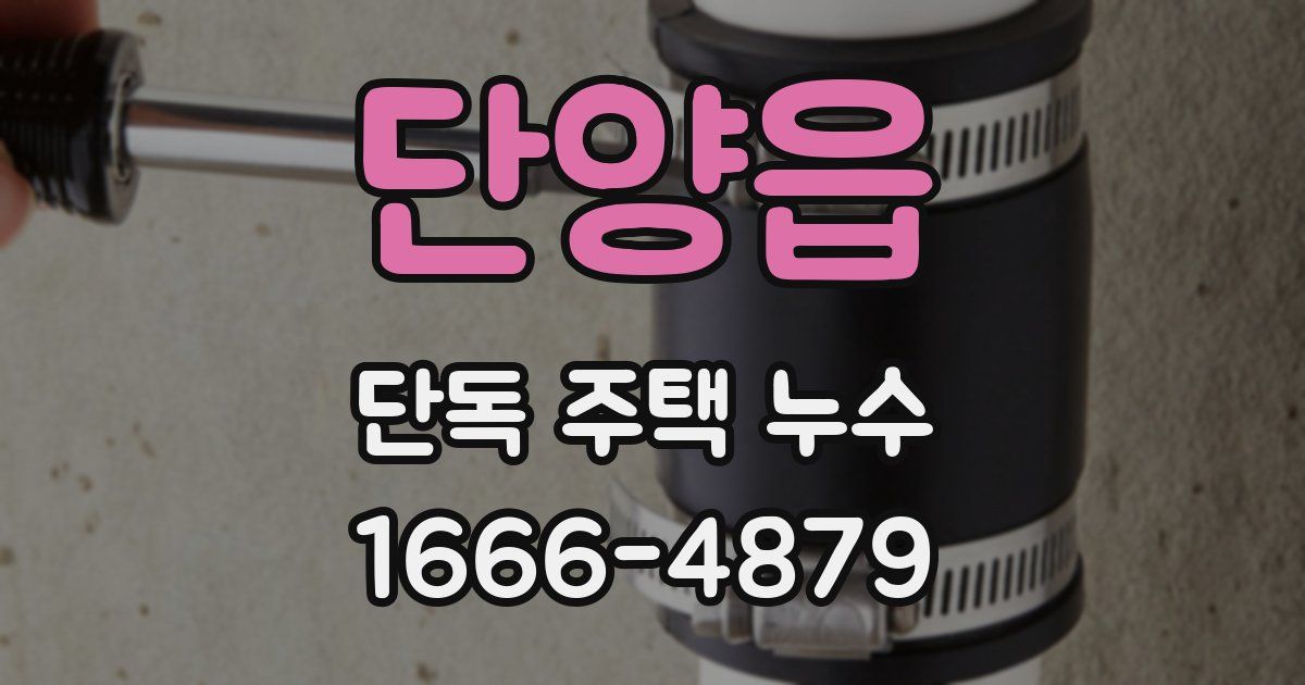 단양읍 단독 주택 누수