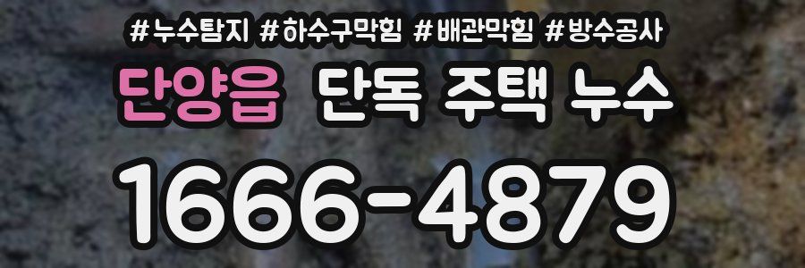 단양읍 단독 주택 누수