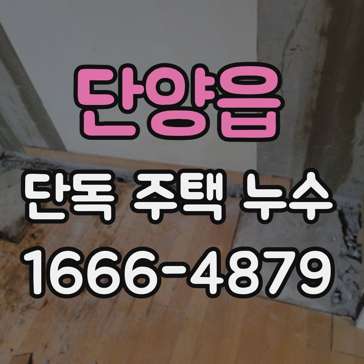 단양읍 단독 주택 누수