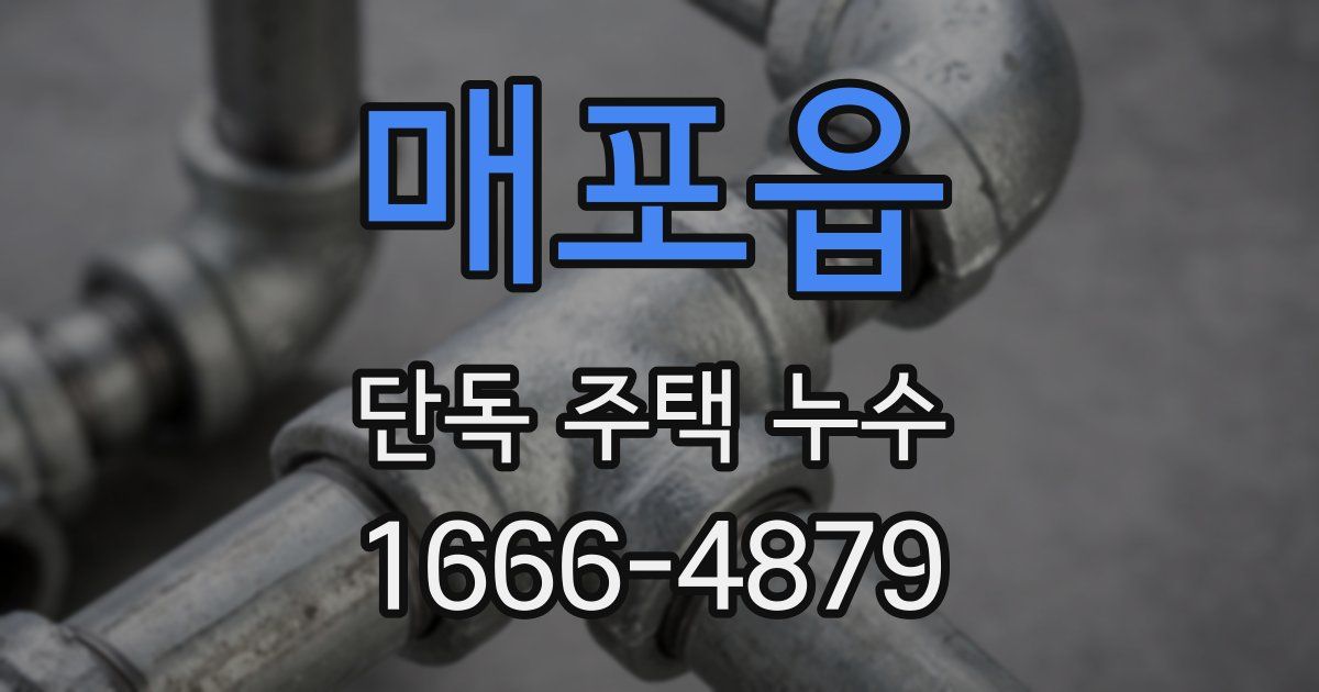 매포읍 단독 주택 누수