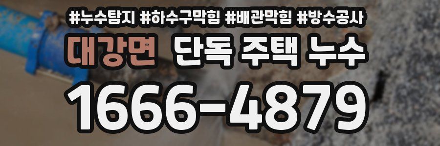 대강면 단독 주택 누수
