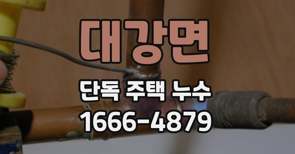 대강면 단독 주택 누수