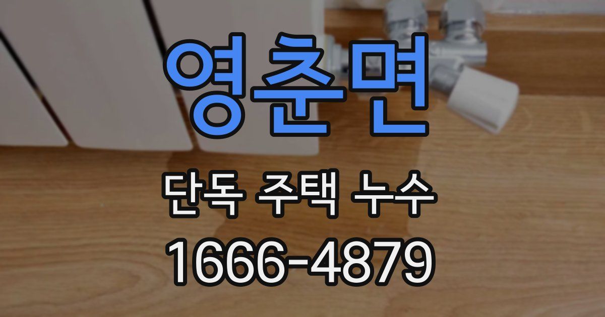 영춘면 단독 주택 누수