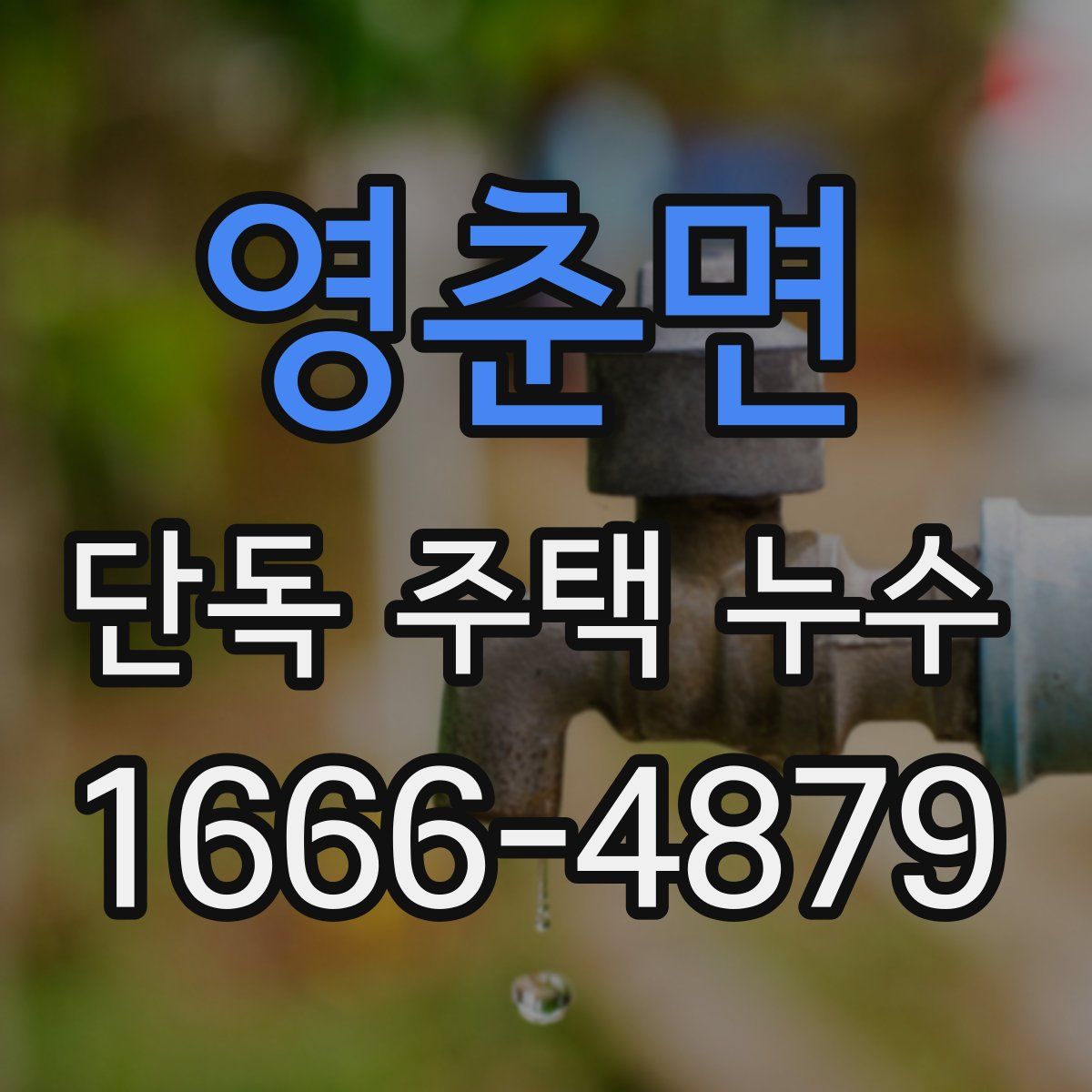 영춘면 단독 주택 누수