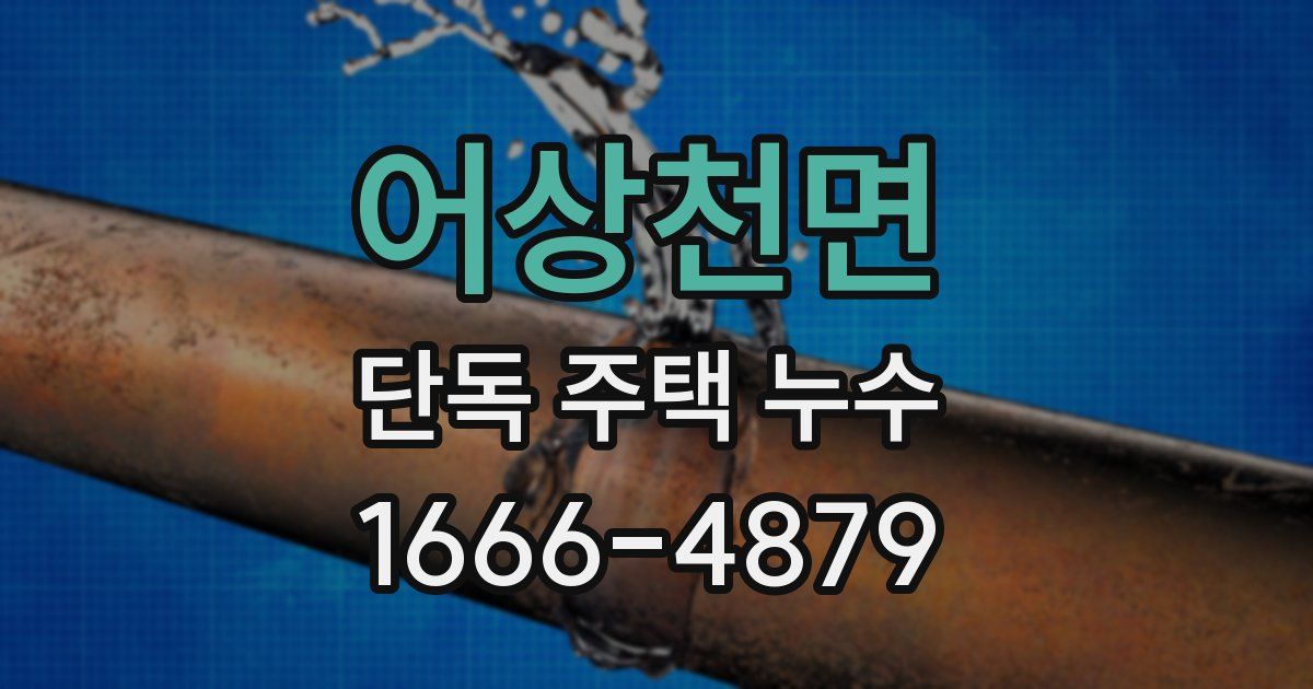 어상천면 단독 주택 누수