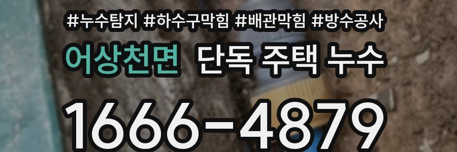 어상천면 단독 주택 누수