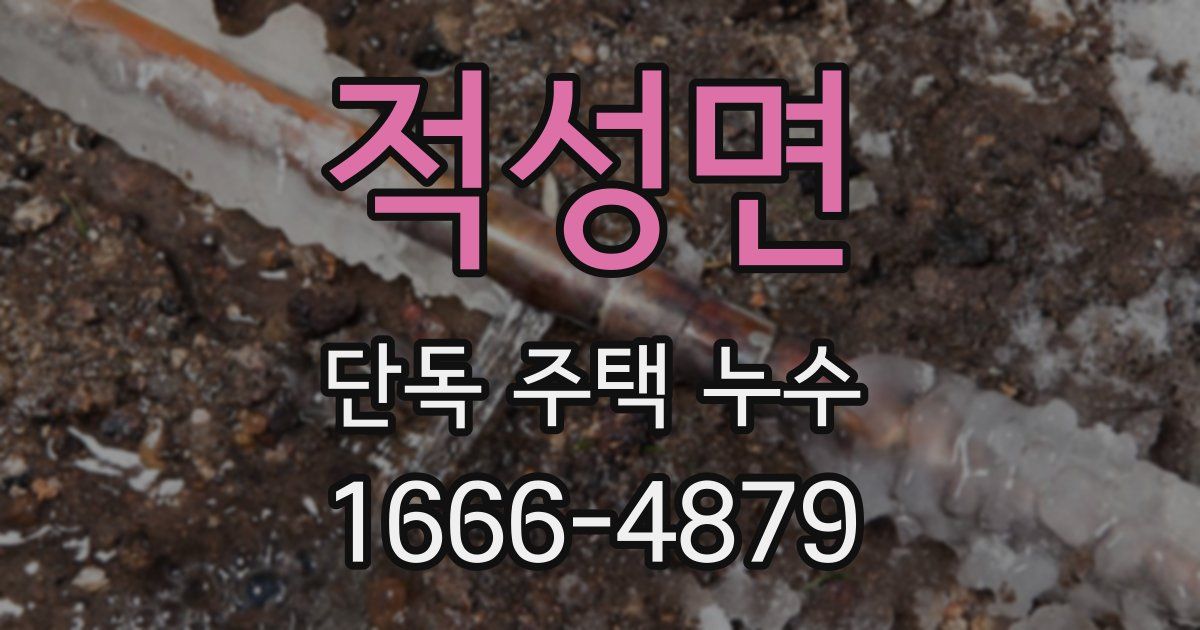 적성면 단독 주택 누수