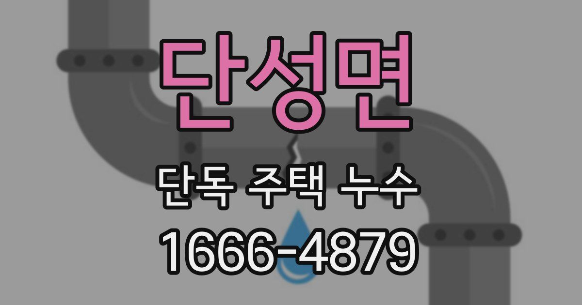 단성면 단독 주택 누수