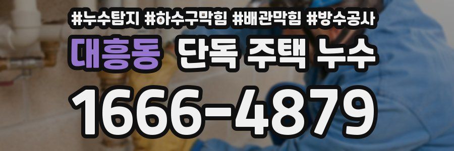 대흥동 단독 주택 누수