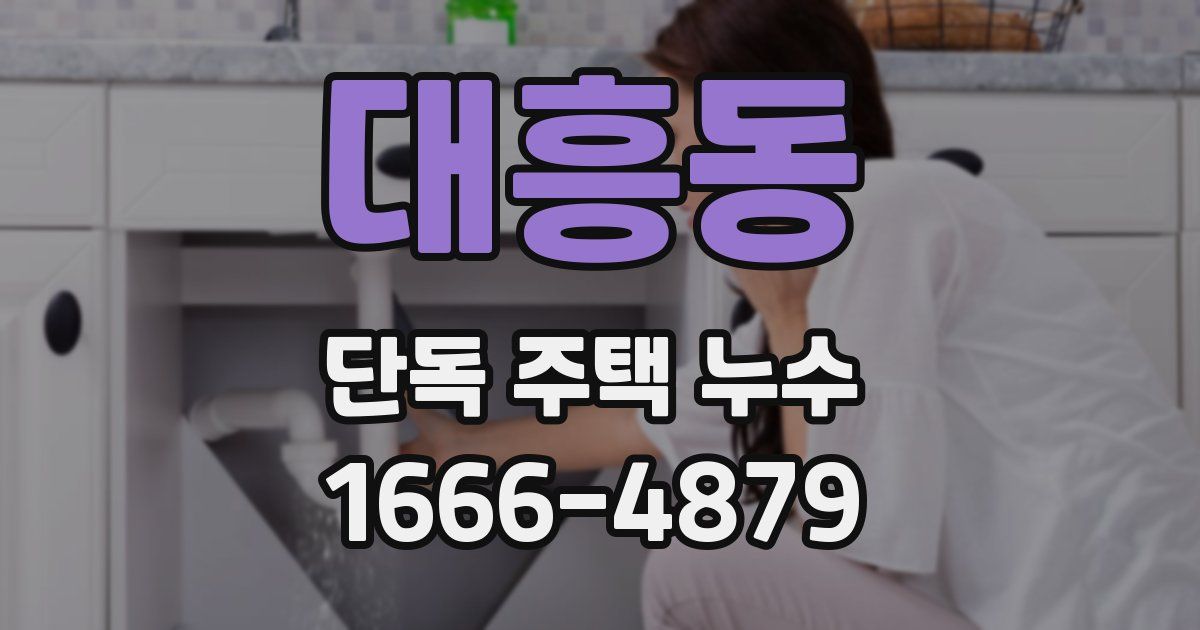 대흥동 단독 주택 누수