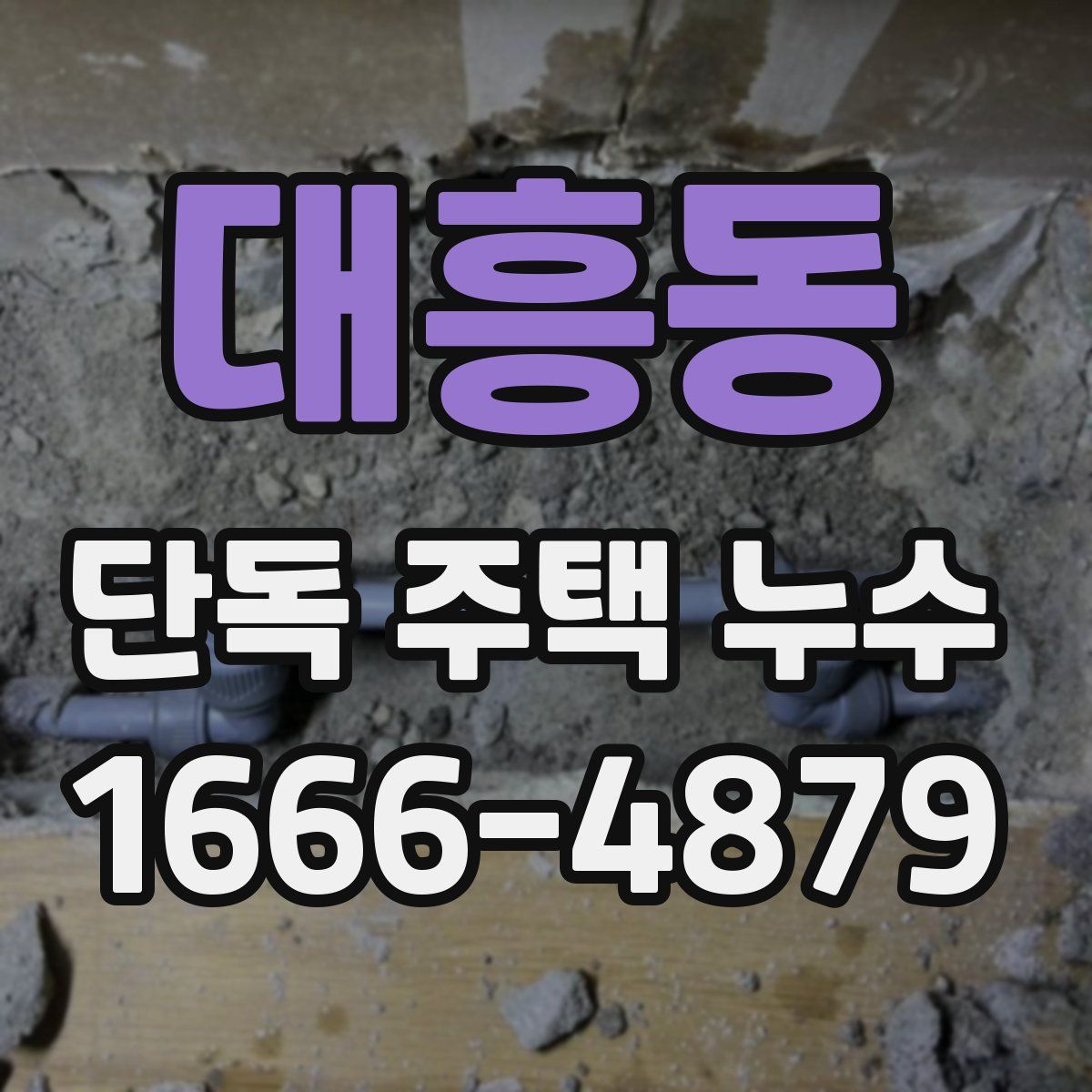 대흥동 단독 주택 누수
