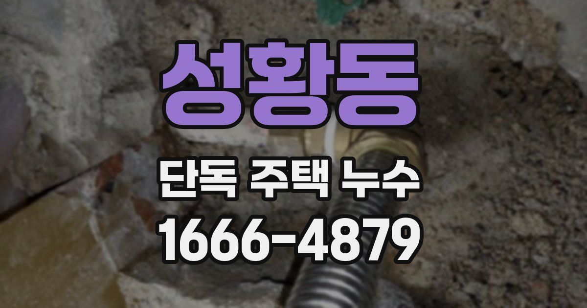 성황동 단독 주택 누수