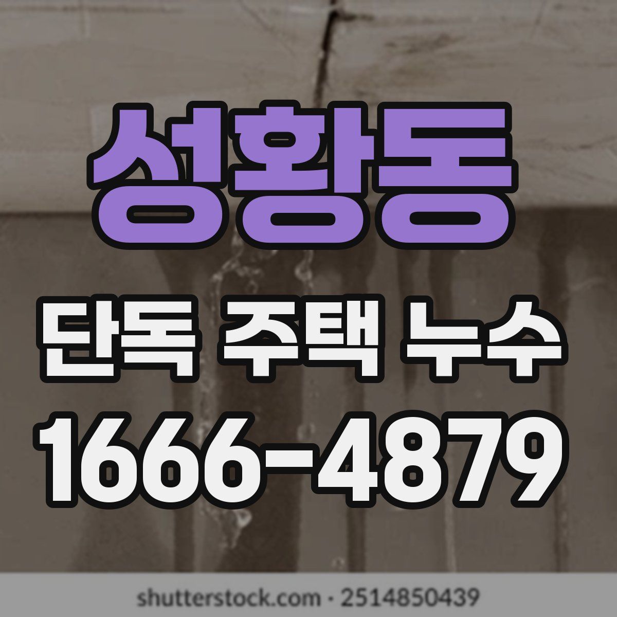 성황동 단독 주택 누수