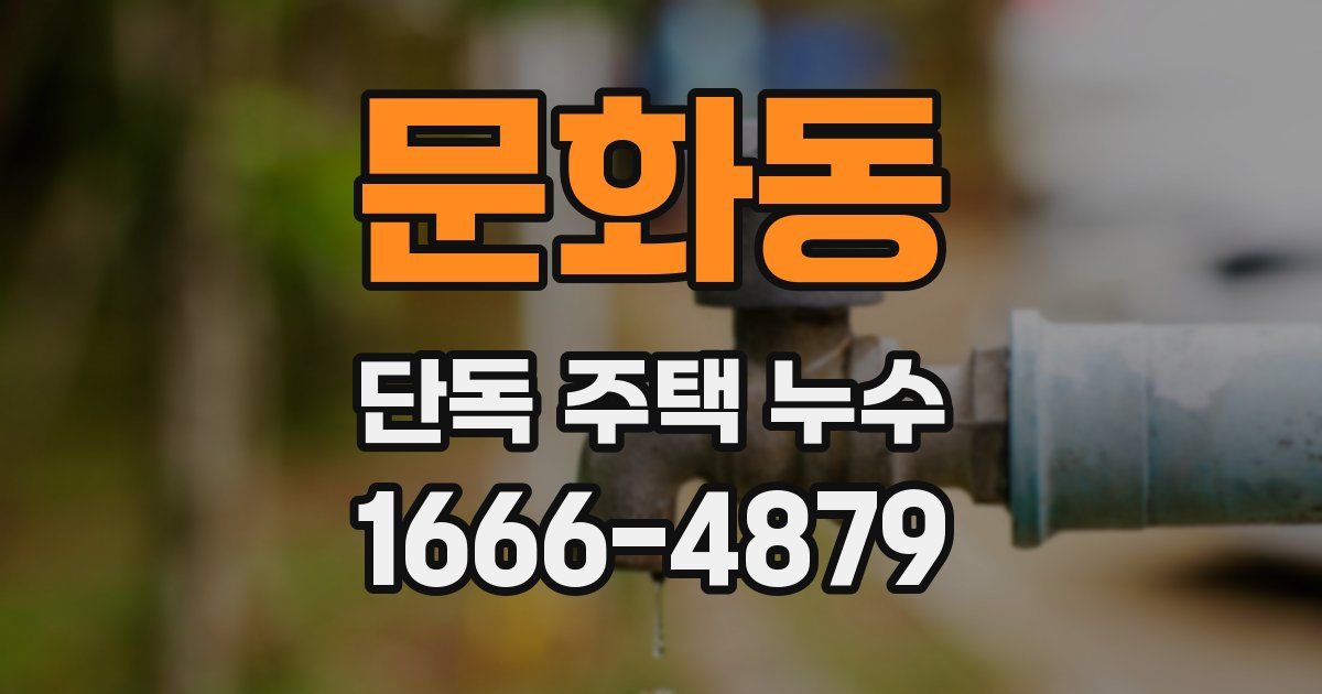 문화동 단독 주택 누수