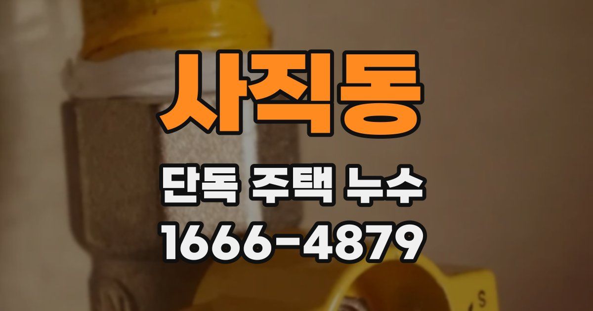 사직동 단독 주택 누수