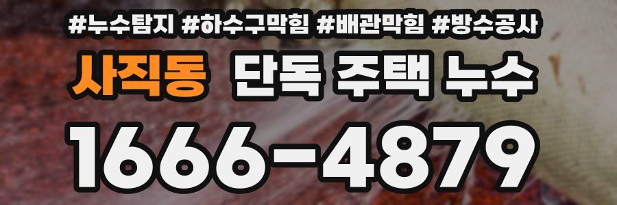 사직동 단독 주택 누수