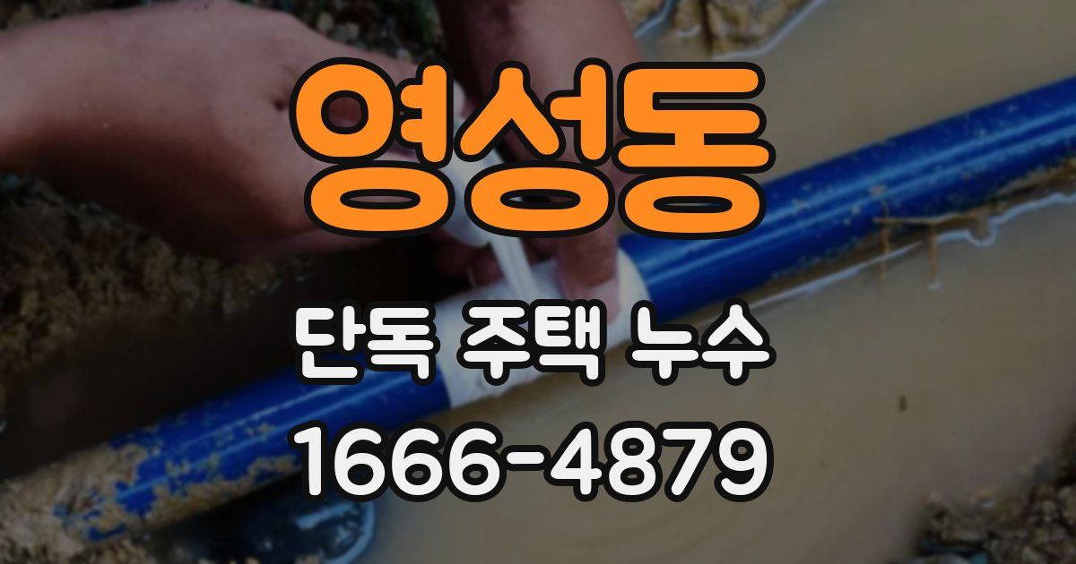 영성동 단독 주택 누수