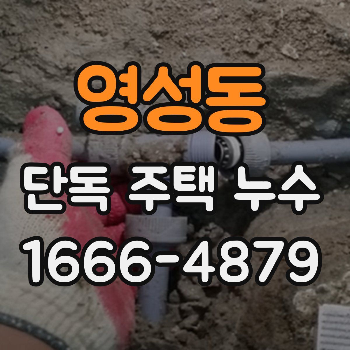 영성동 단독 주택 누수