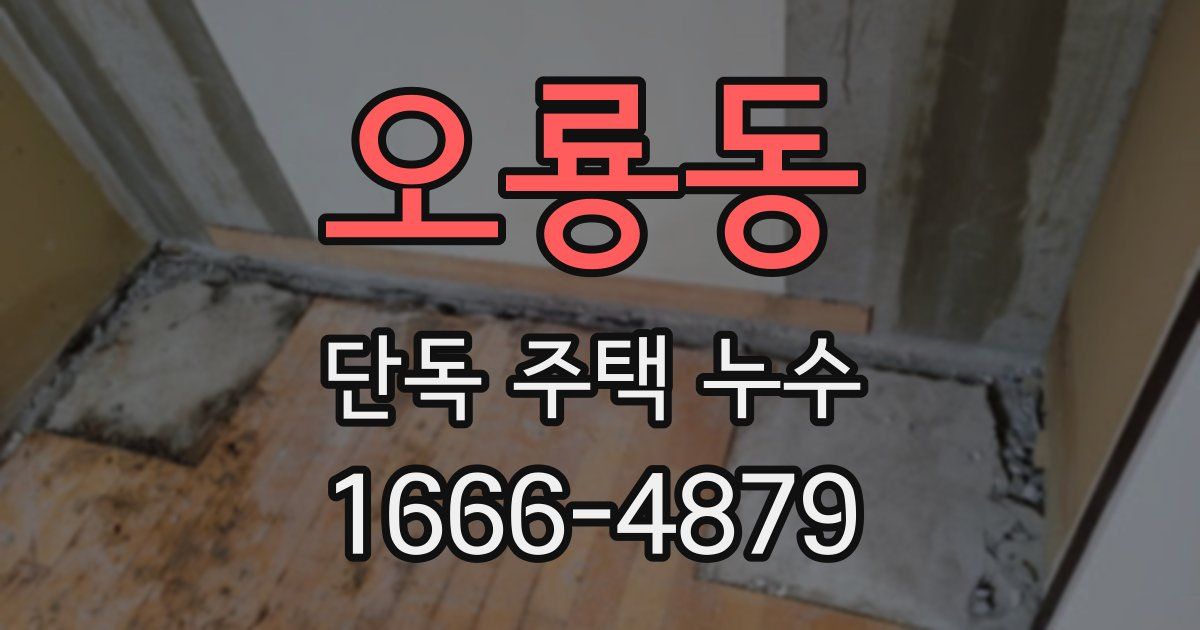 오룡동 단독 주택 누수