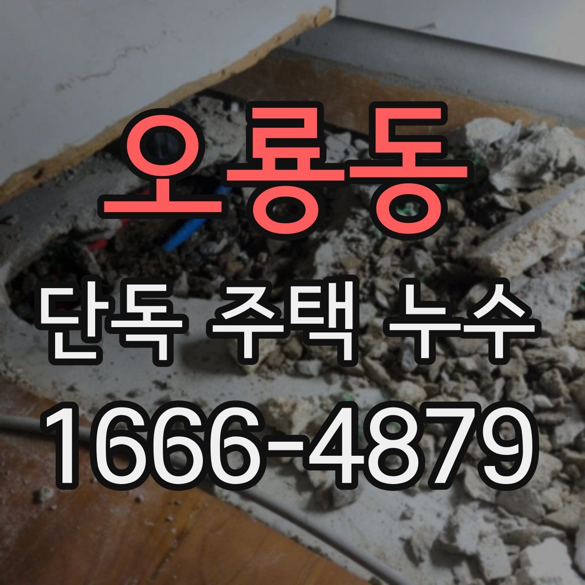 오룡동 단독 주택 누수