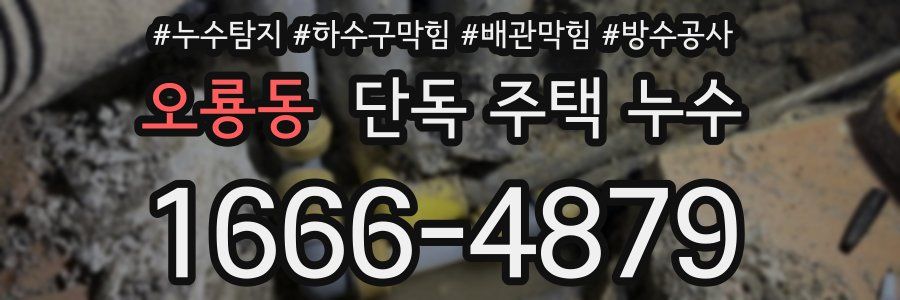 오룡동 단독 주택 누수