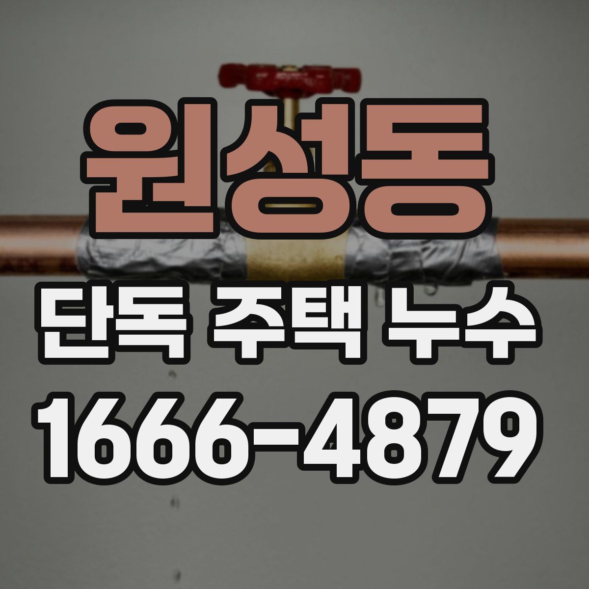 원성동 단독 주택 누수