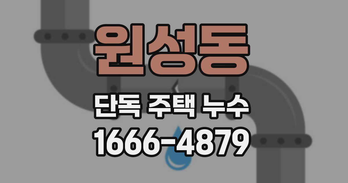원성동 단독 주택 누수