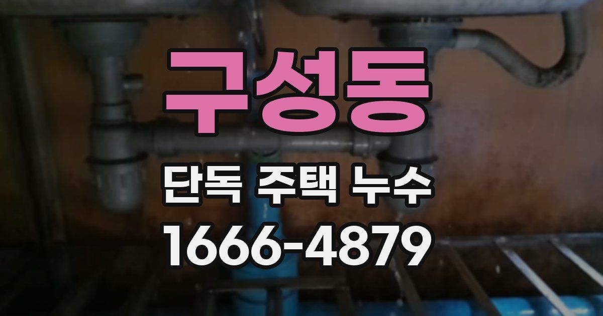 구성동 단독 주택 누수