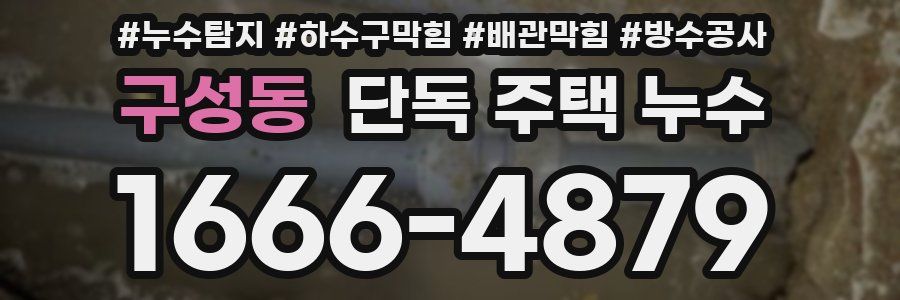 구성동 단독 주택 누수