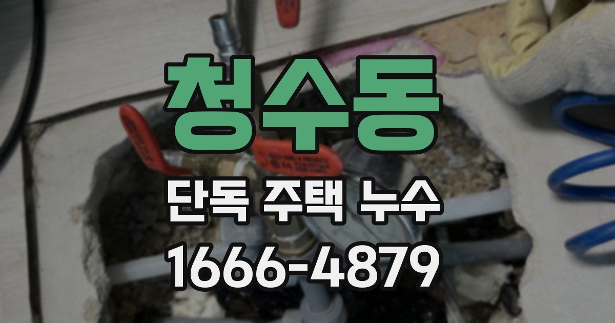 청수동 단독 주택 누수