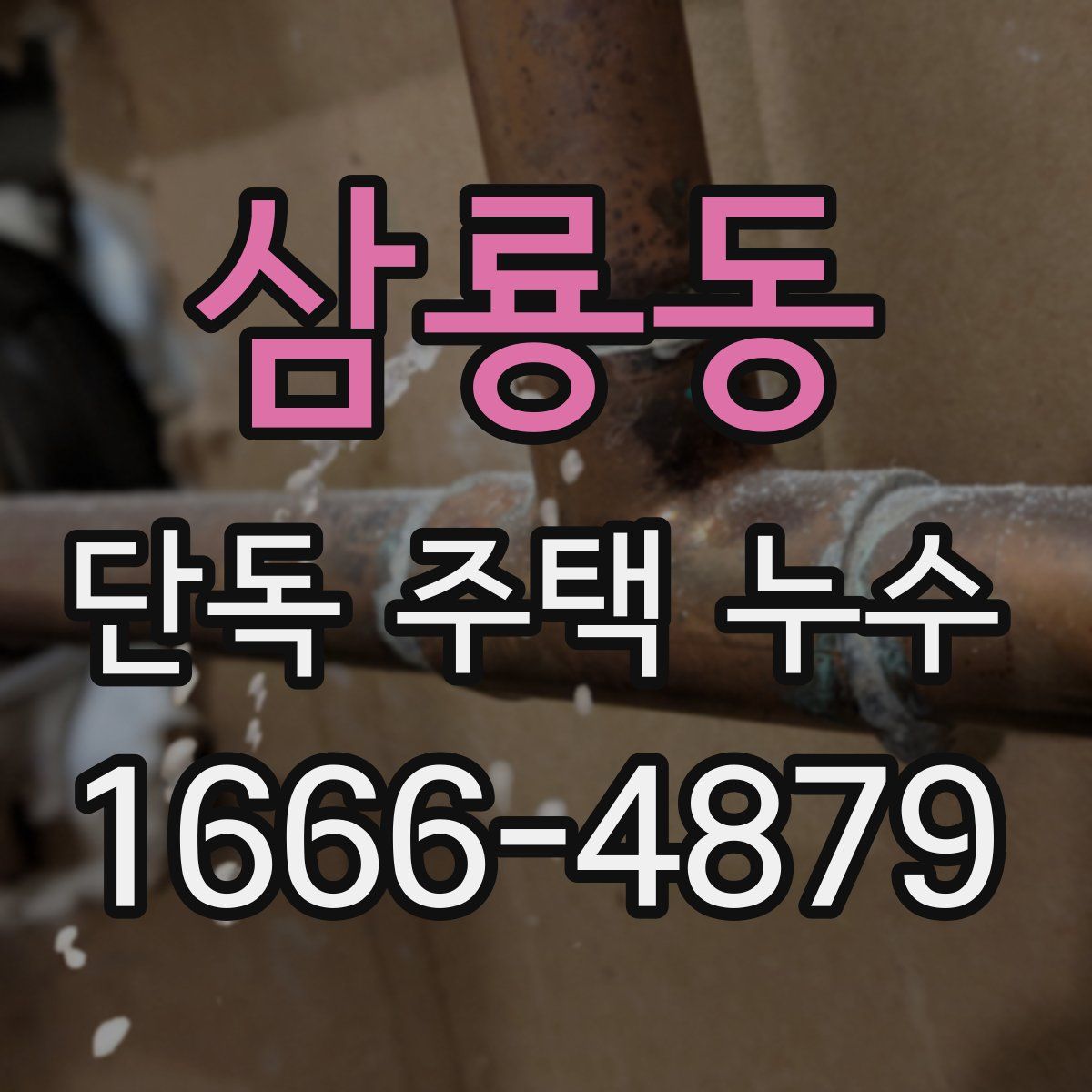 삼룡동 단독 주택 누수