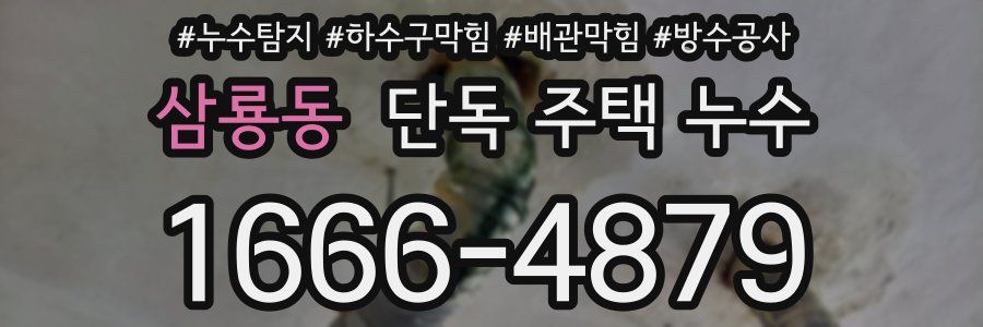 삼룡동 단독 주택 누수