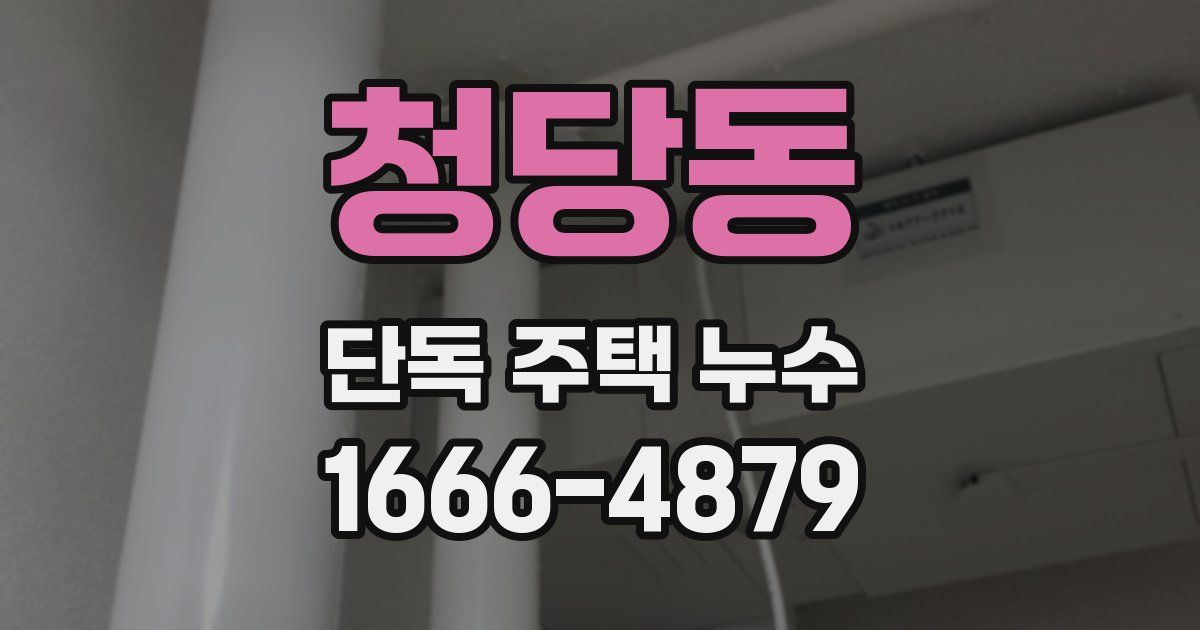 청당동 단독 주택 누수